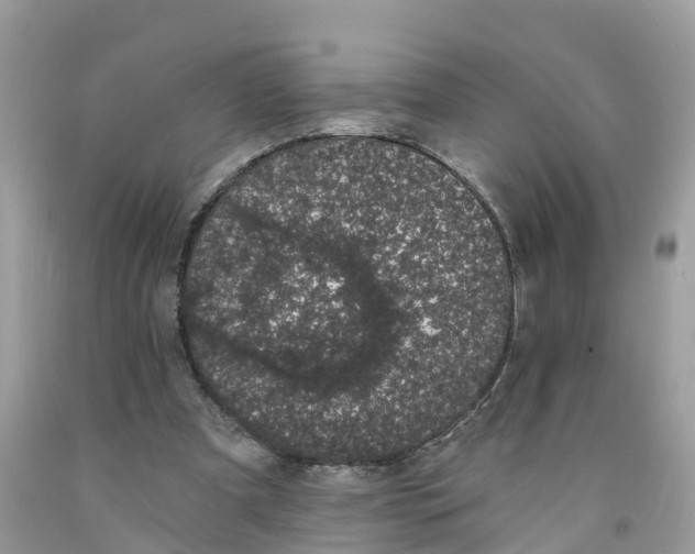 X0000091560297200709141541