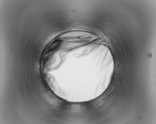 X0000091560298200709141541