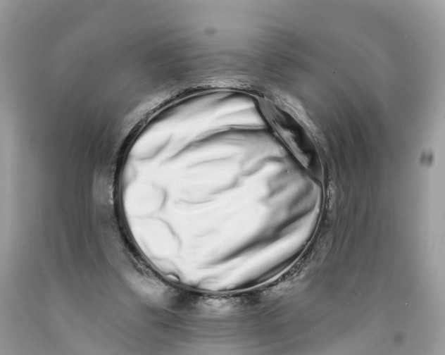 X0000091560299200709141541