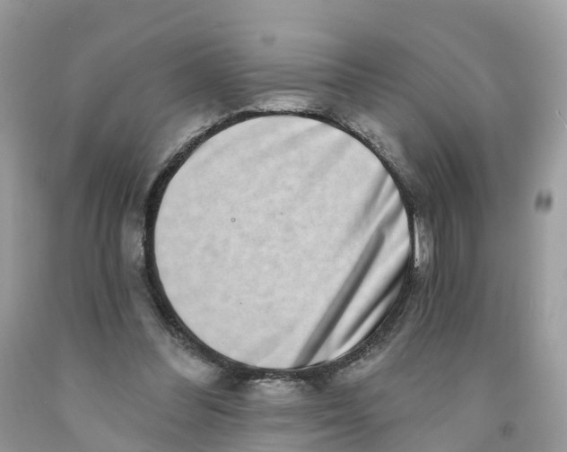 X0000091560300200709141541