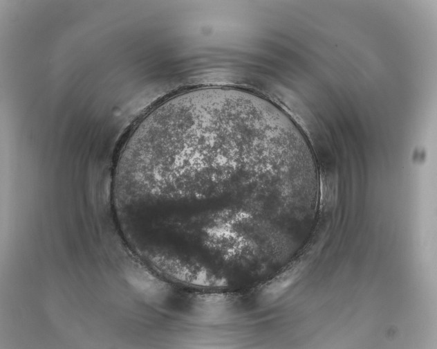 X0000091560301200709141541