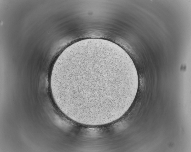 X0000091560302200709141541