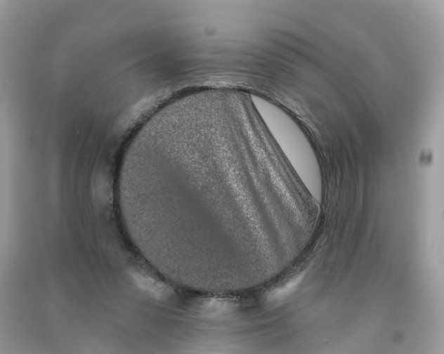 X0000091560303200709141541