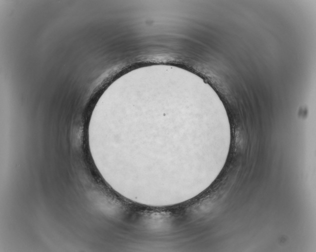 X0000091560304200709141541