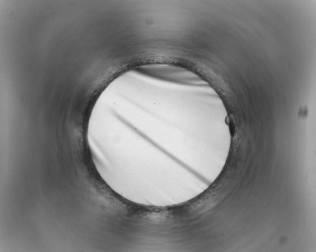 X0000091560306200709141541