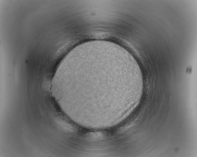 X0000091560307200709141541