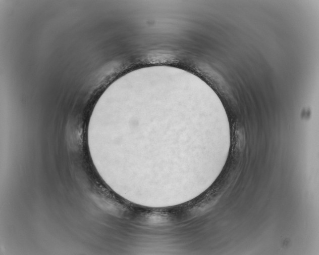 X0000091560308200709141541