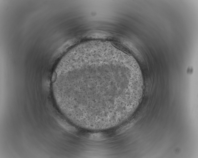 X0000091560309200709141541