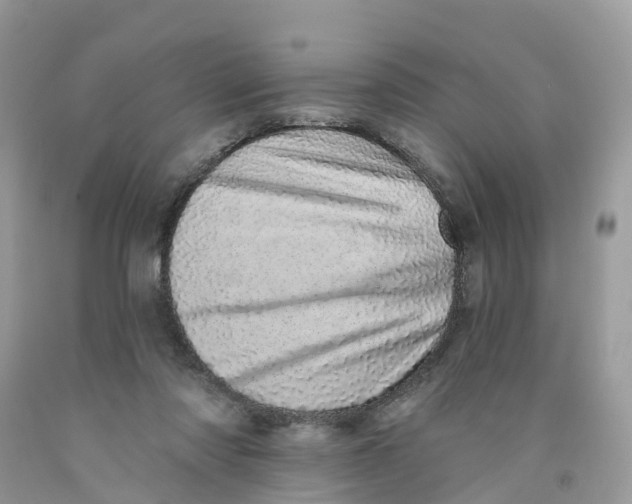 X0000091560310200709141541