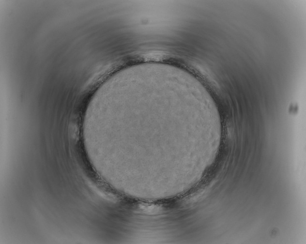 X0000091560311200709141541