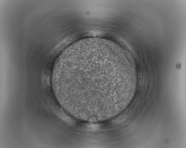 X0000091560313200709141541