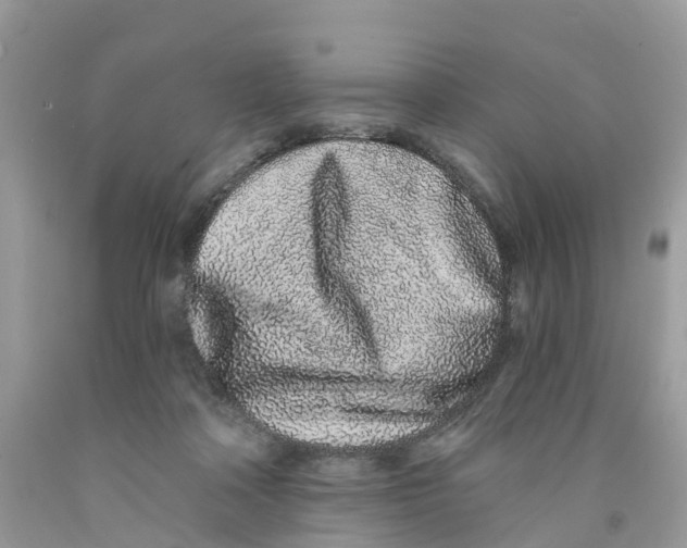 X0000091560314200709141541