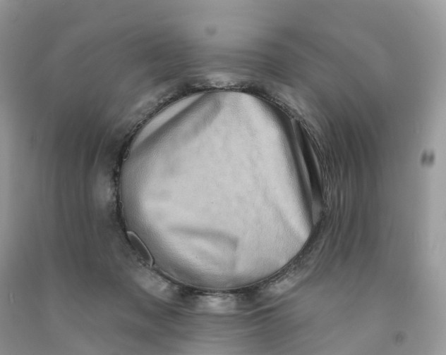 X0000091560317200709141541