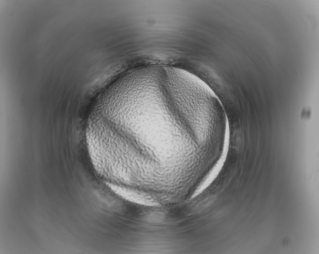 X0000091560318200709141541