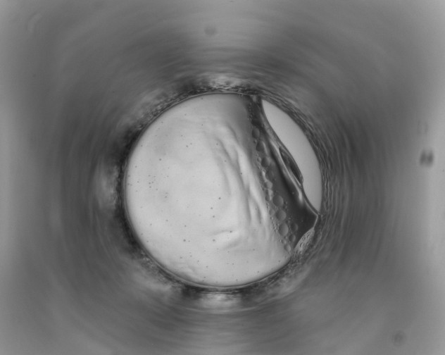 X0000091560319200709141541