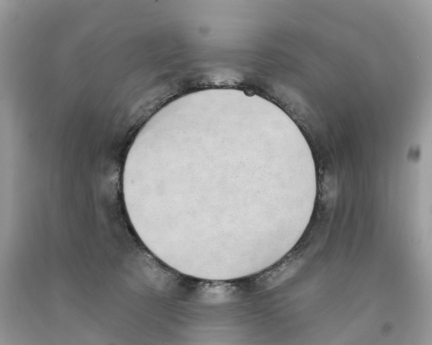 X0000091560321200709141541