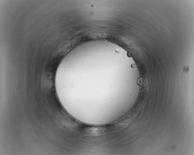 X0000091560323200709141541