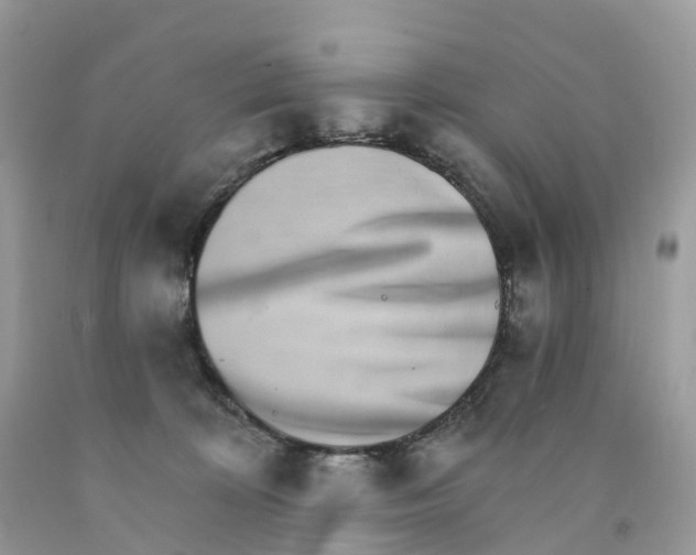 X0000091560324200709141541