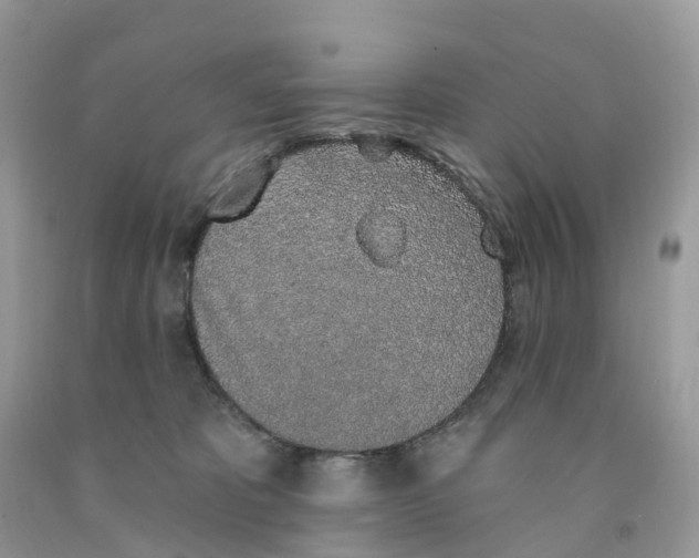 X0000091560325200709141541