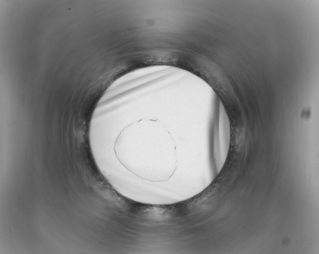 X0000091560326200709141541