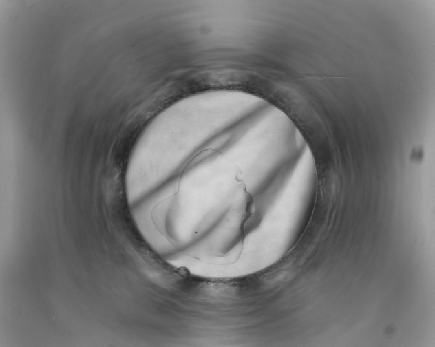 X0000091560327200709141541