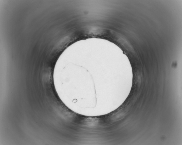 X0000091560328200709141541