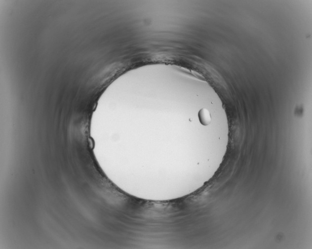 X0000091560329200709141541