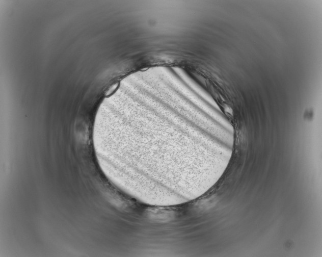 X0000091560331200709141541