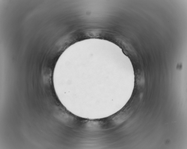 X0000091560332200709141541