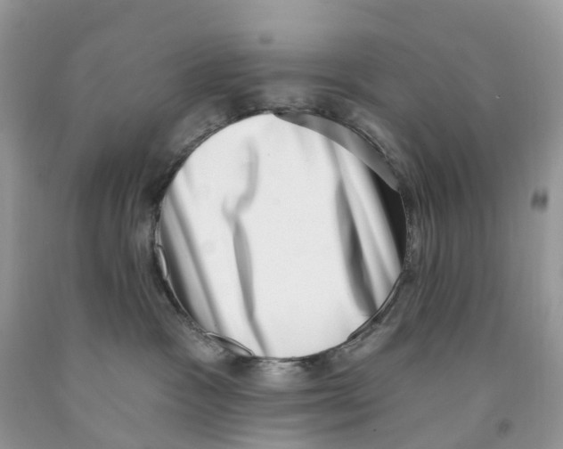 X0000091560333200709141541