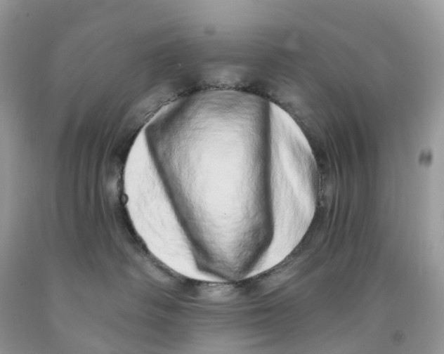 X0000091560334200709141541