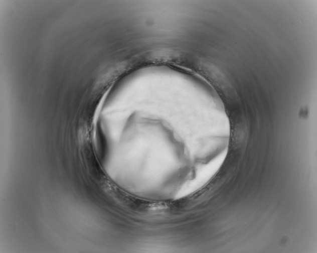 X0000091560335200709141541