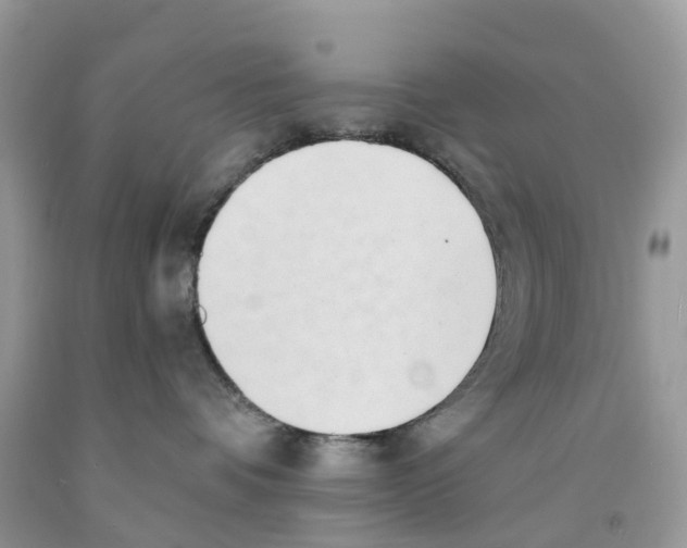 X0000091560336200709141541