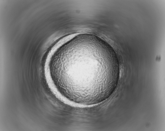 X0000091560339200709141540