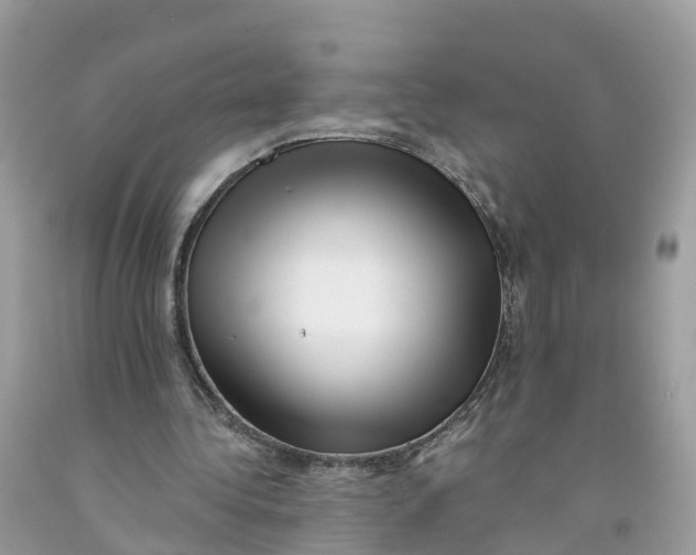 X0000091560340200709141540