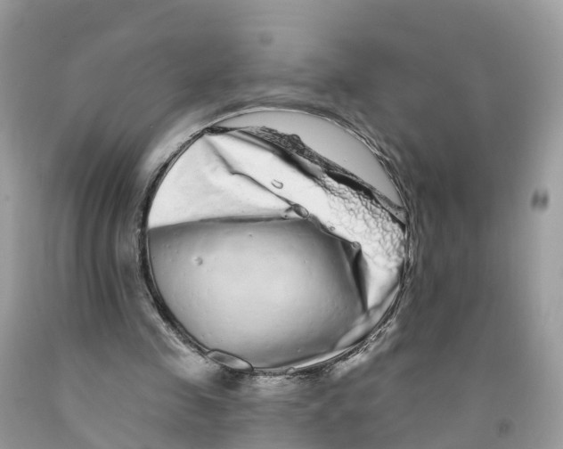 X0000091560341200709141540