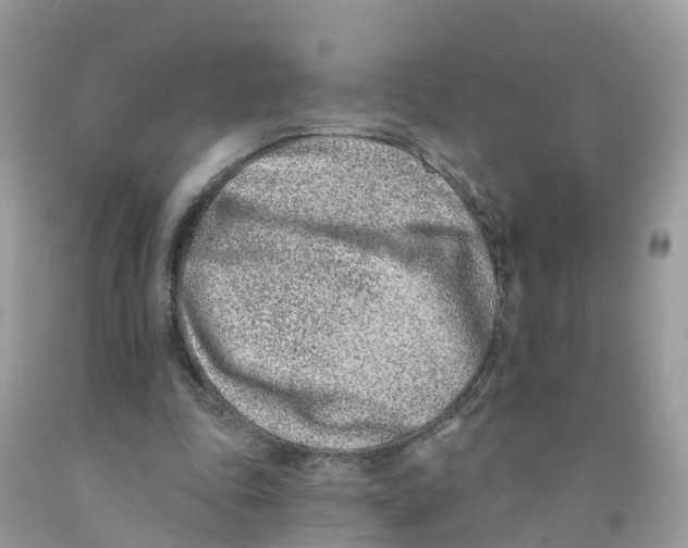 X0000091560343200709141540