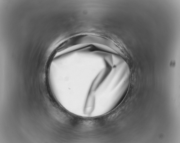 X0000091560344200709141540