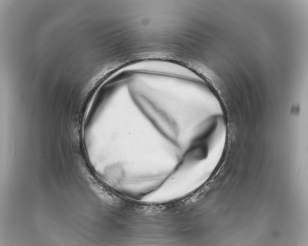 X0000091560345200709141540