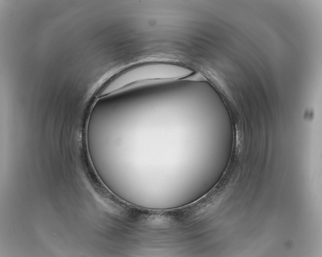 X0000091560348200709141540