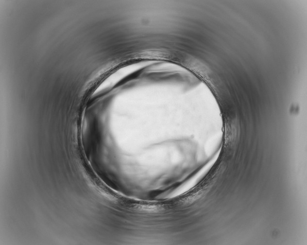 X0000091560349200709141540