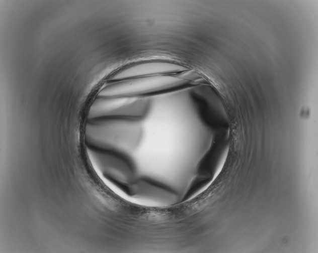 X0000091560350200709141540