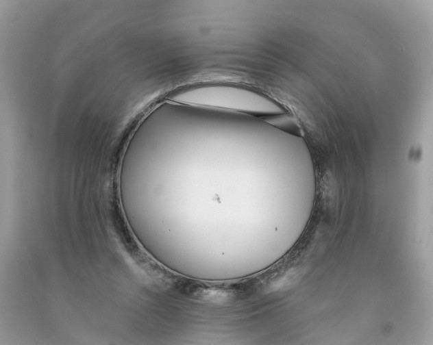 X0000091560352200709141540