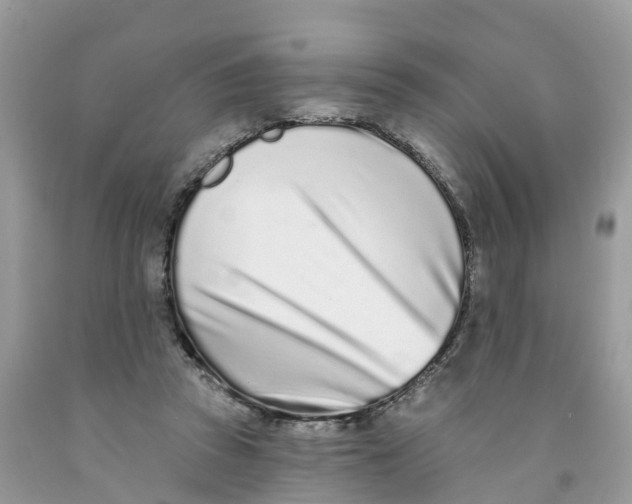 X0000091560353200709141540