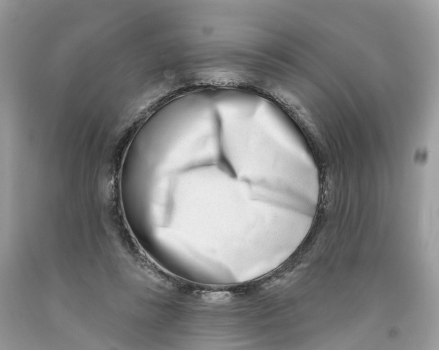 X0000091560355200709141540