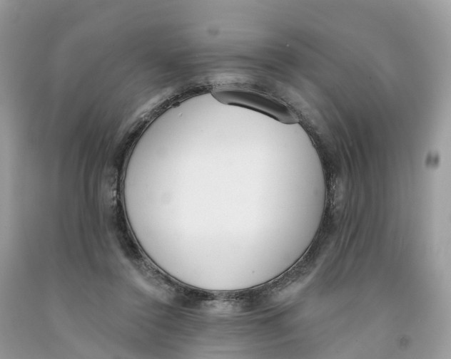 X0000091560356200709141540