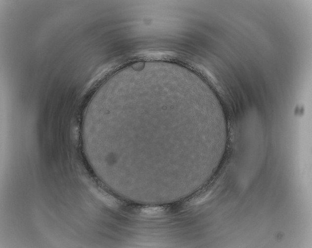 X0000091560357200709141540