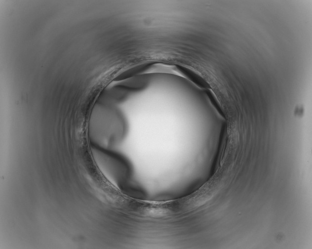 X0000091560360200709141540