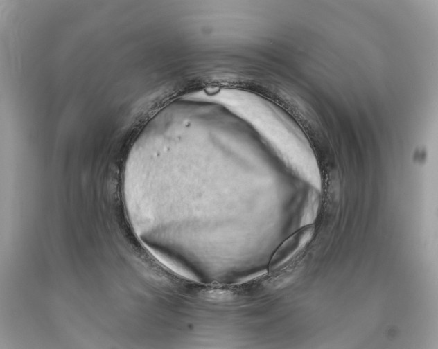 X0000091560361200709141540