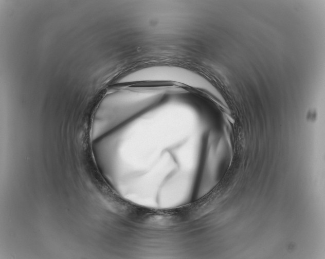 X0000091560364200709141540